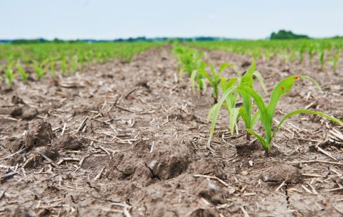 DAFoR : Améliorer la gestion de l’eau face au changement climatique pour l’agriculture en Wallonie