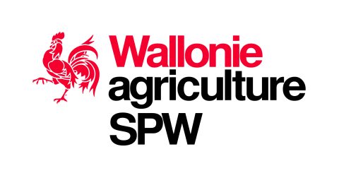 Plan Loup wallon : Animation pour l’évaluation avec les parties prenantes